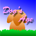 Dog's Age